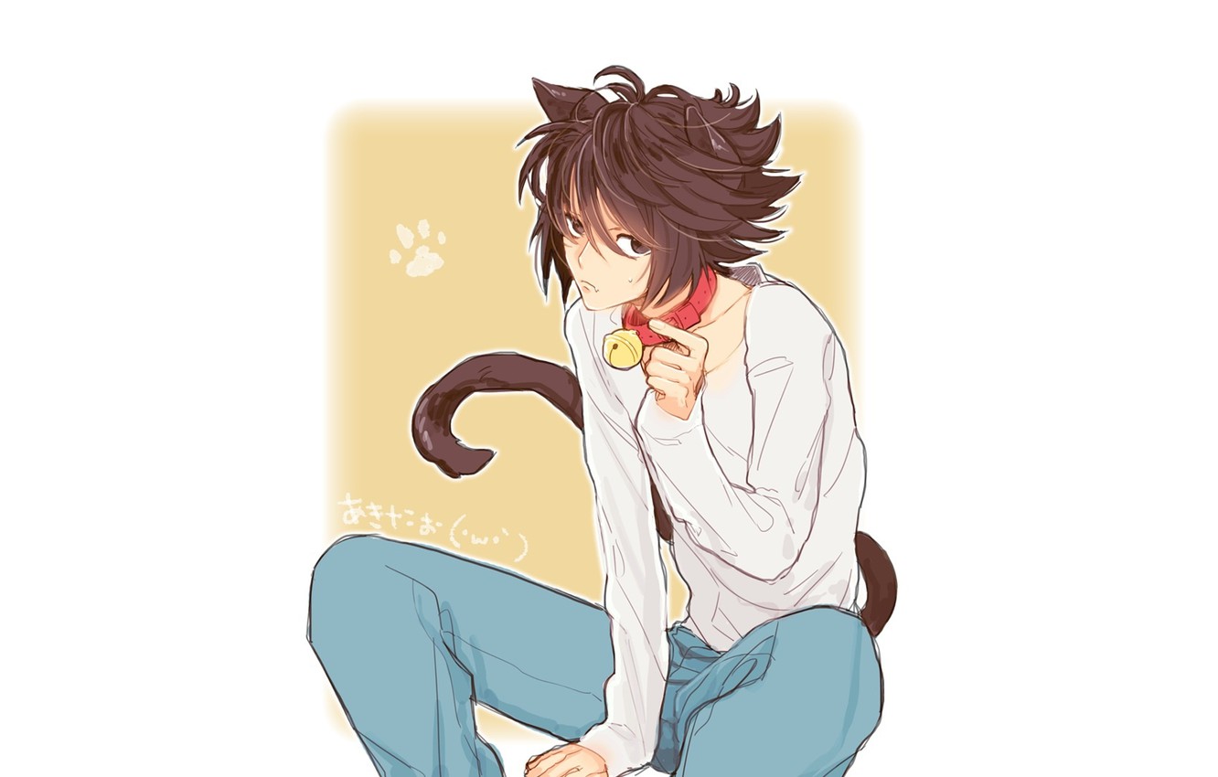 Photo Wallpaper Cat, Anime, Art, Guy, Bell, Death Note, - L Neko - HD Wallpaper 