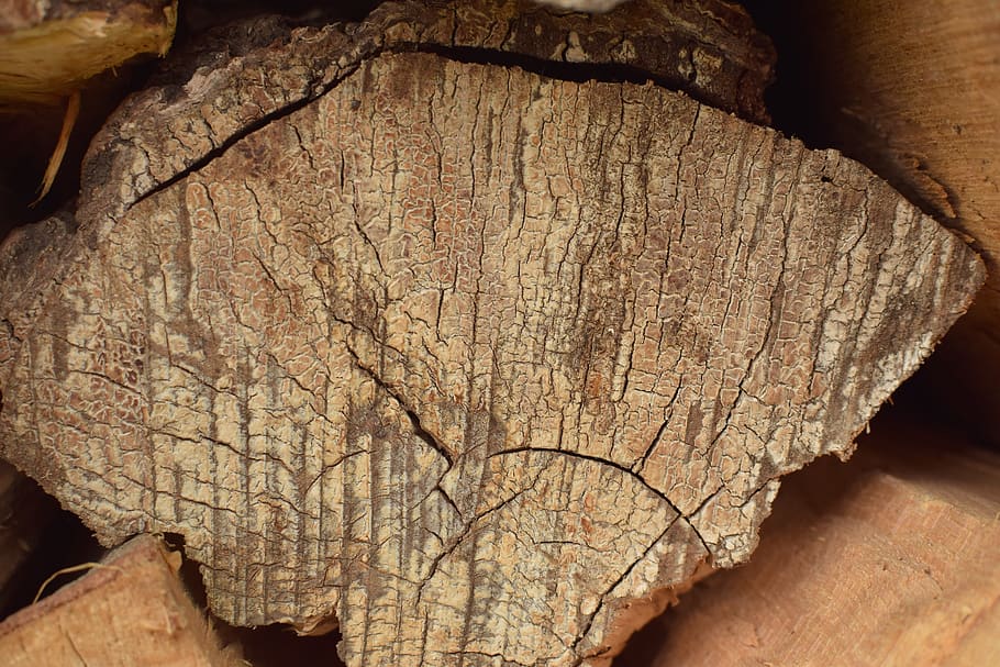 Wood, Log, Close Up, Pattern, Fireplace, Stacked Up, - Polyporales - HD Wallpaper 