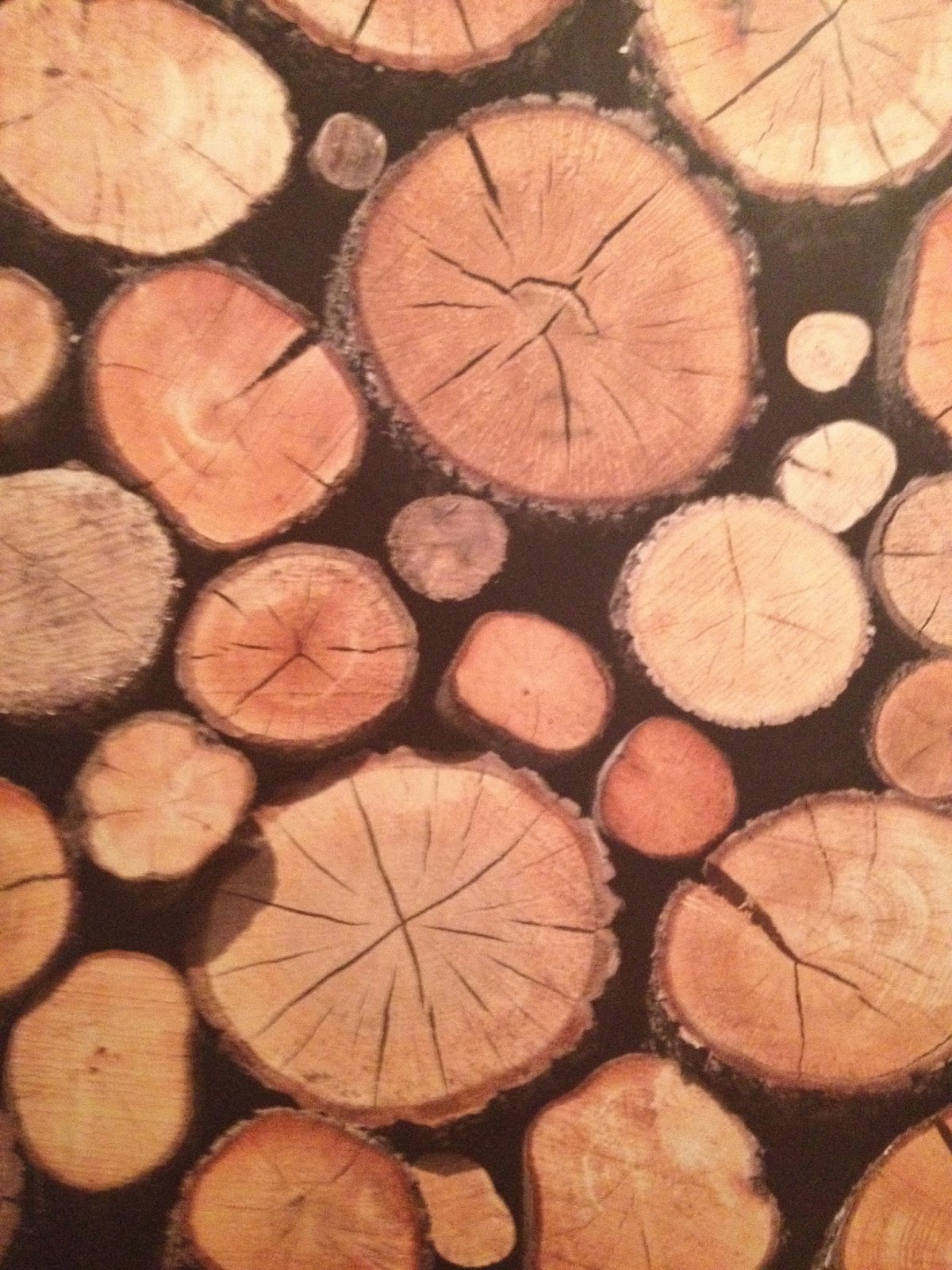 Wood Themed - HD Wallpaper 