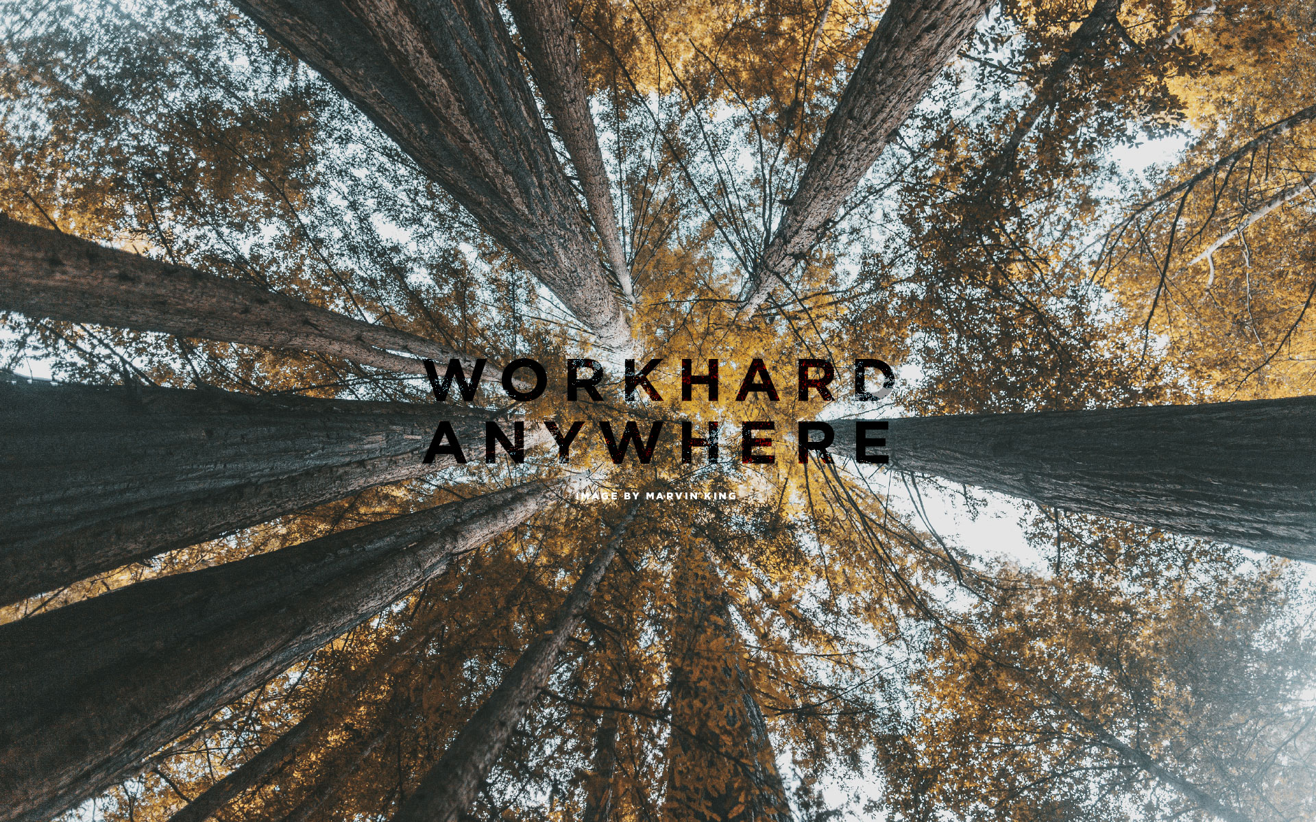 Work Hard Anywhere - 1920x1200 Wallpaper Work Hard Anywhere - 1920x1200 Wallpaper