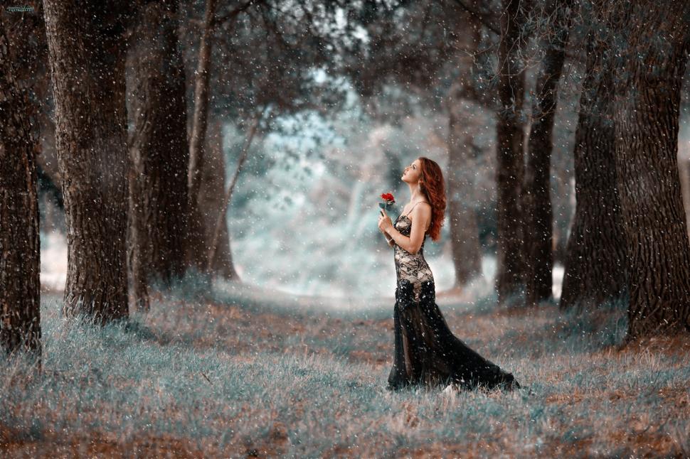 Women, Redhead, Long Hair, Trees, Rose, Look Up, Snow - Mujer Vestido Negro En Bosque - HD Wallpaper 