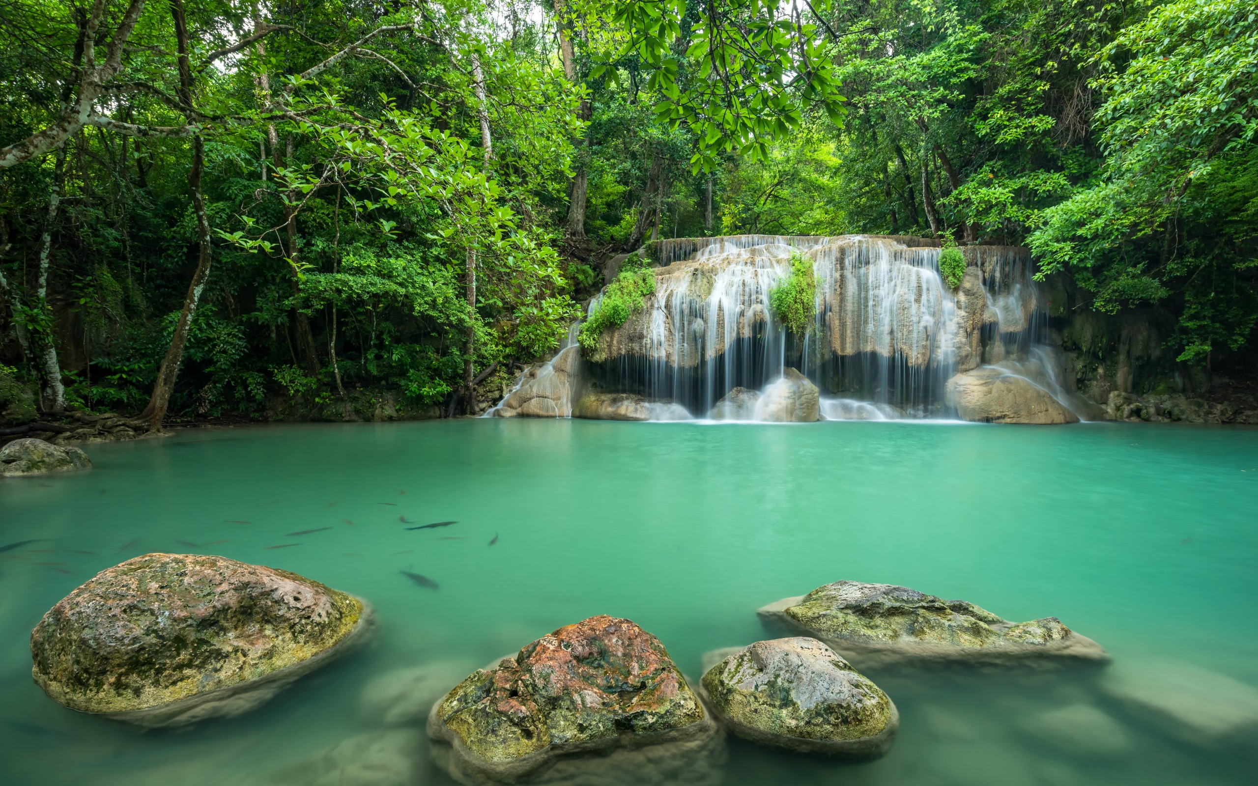 Beautiful Green Lake, Waterfall, Tropical Forest, Thailand, - Arrière Plan Chute D Eau - HD Wallpaper 