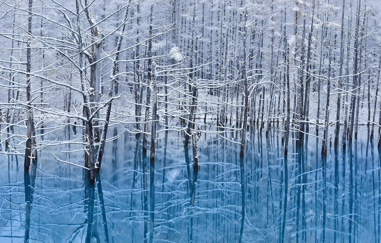 Photo Wallpaper Winter, Water, Snow, Reflection, Trees, - Winter Trees And Lake - HD Wallpaper 