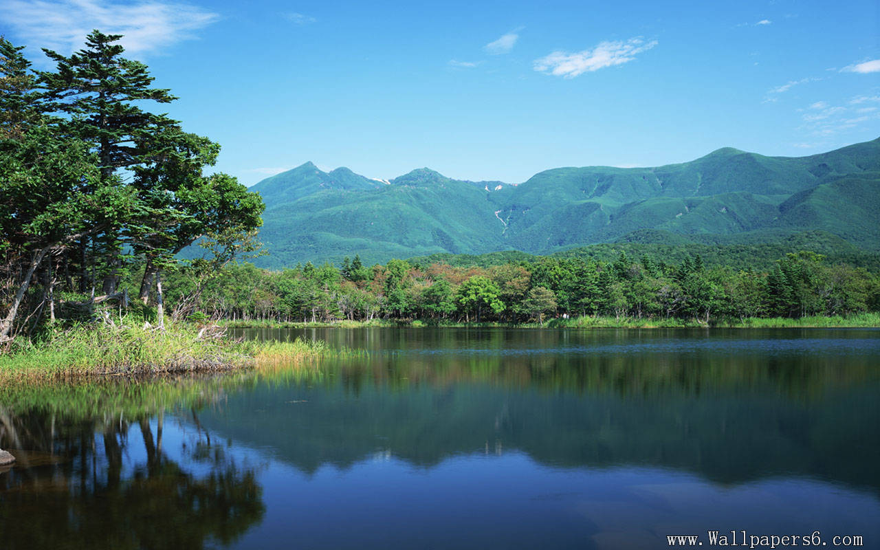 Tv 21 Inch - HD Wallpaper 