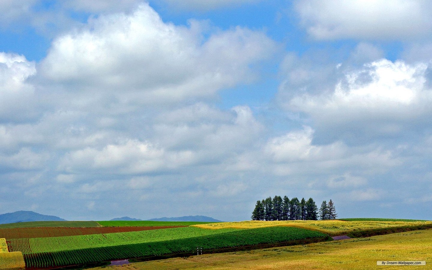 Free Travel Wallpaper - Field - HD Wallpaper 