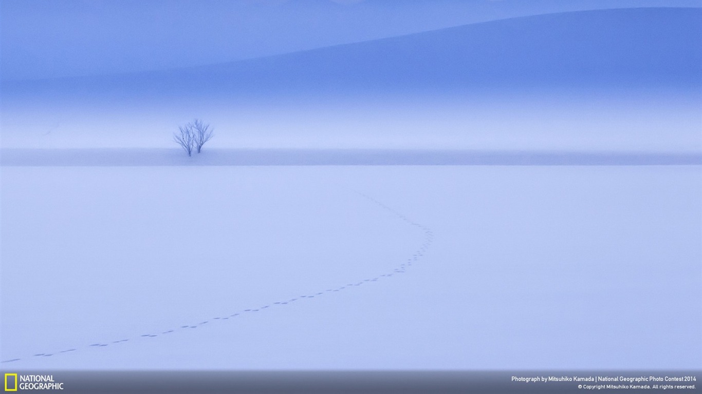 Biei Hokkaido Japan-national Geographic Wallpaper2014 - Sea - HD Wallpaper 