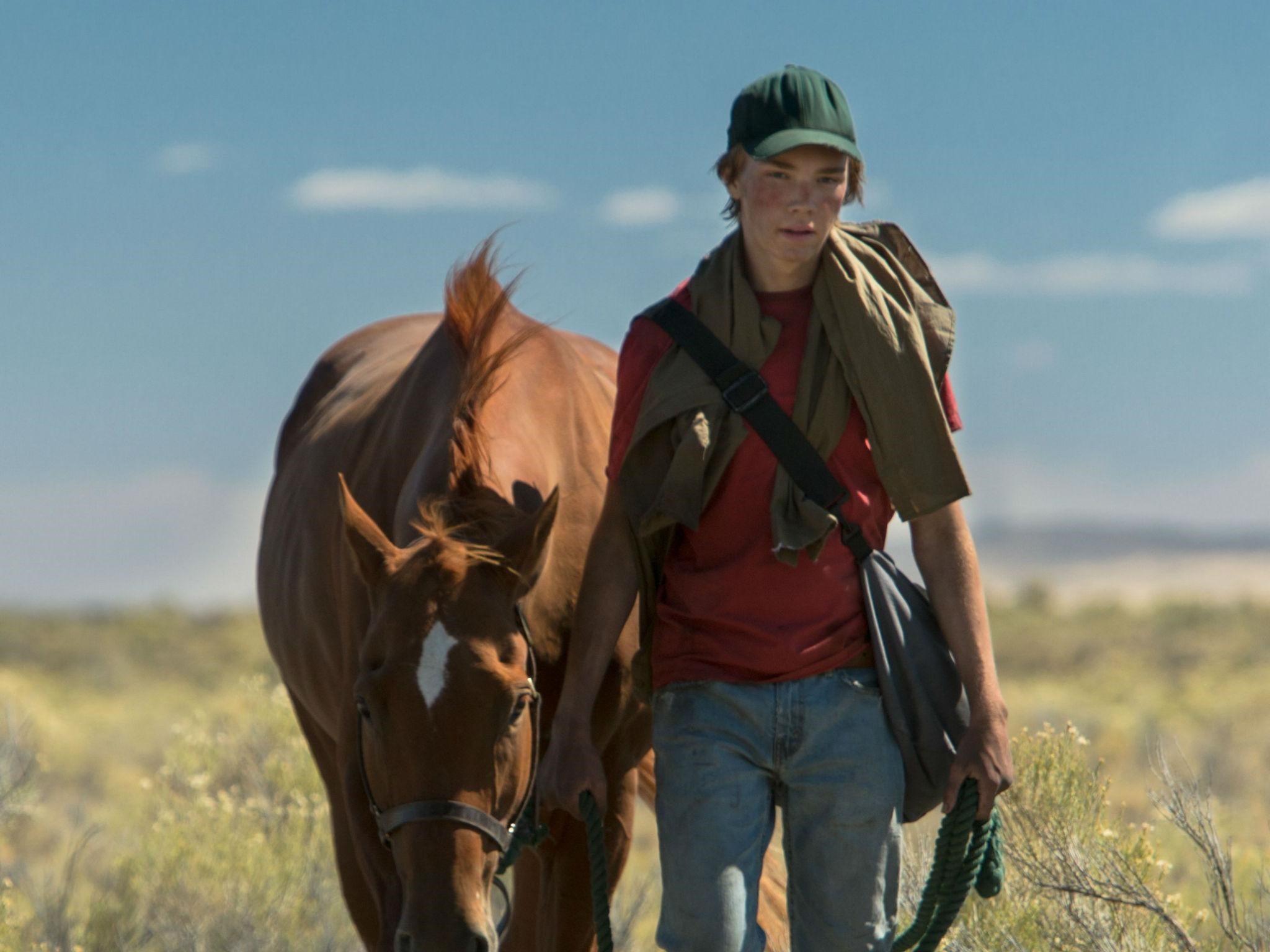 Lean On Pete - Boy With A Horse - HD Wallpaper 