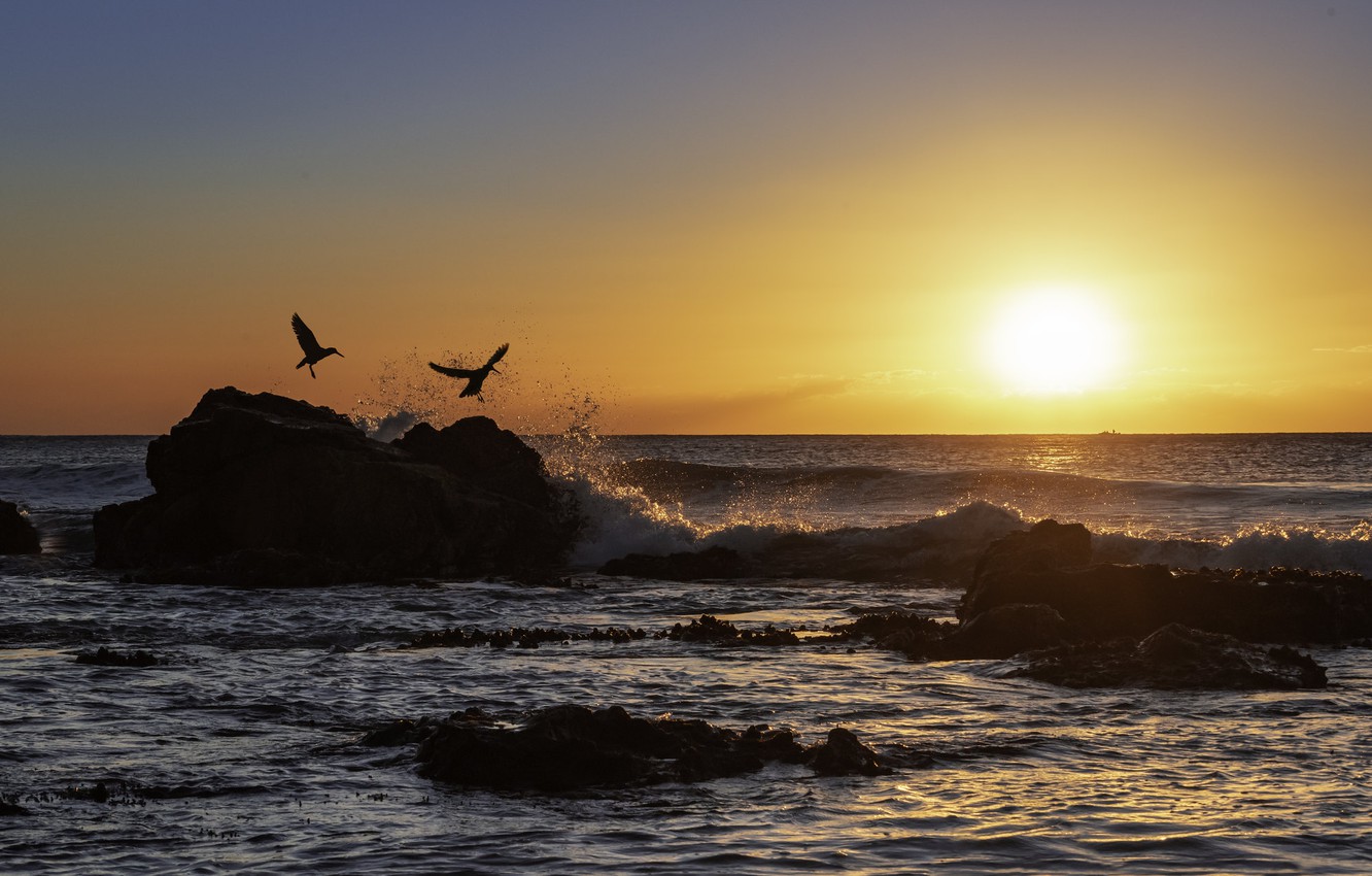 Photo Wallpaper Sea, Sunset, Birds, Fleur Walton - Sunset - HD Wallpaper 