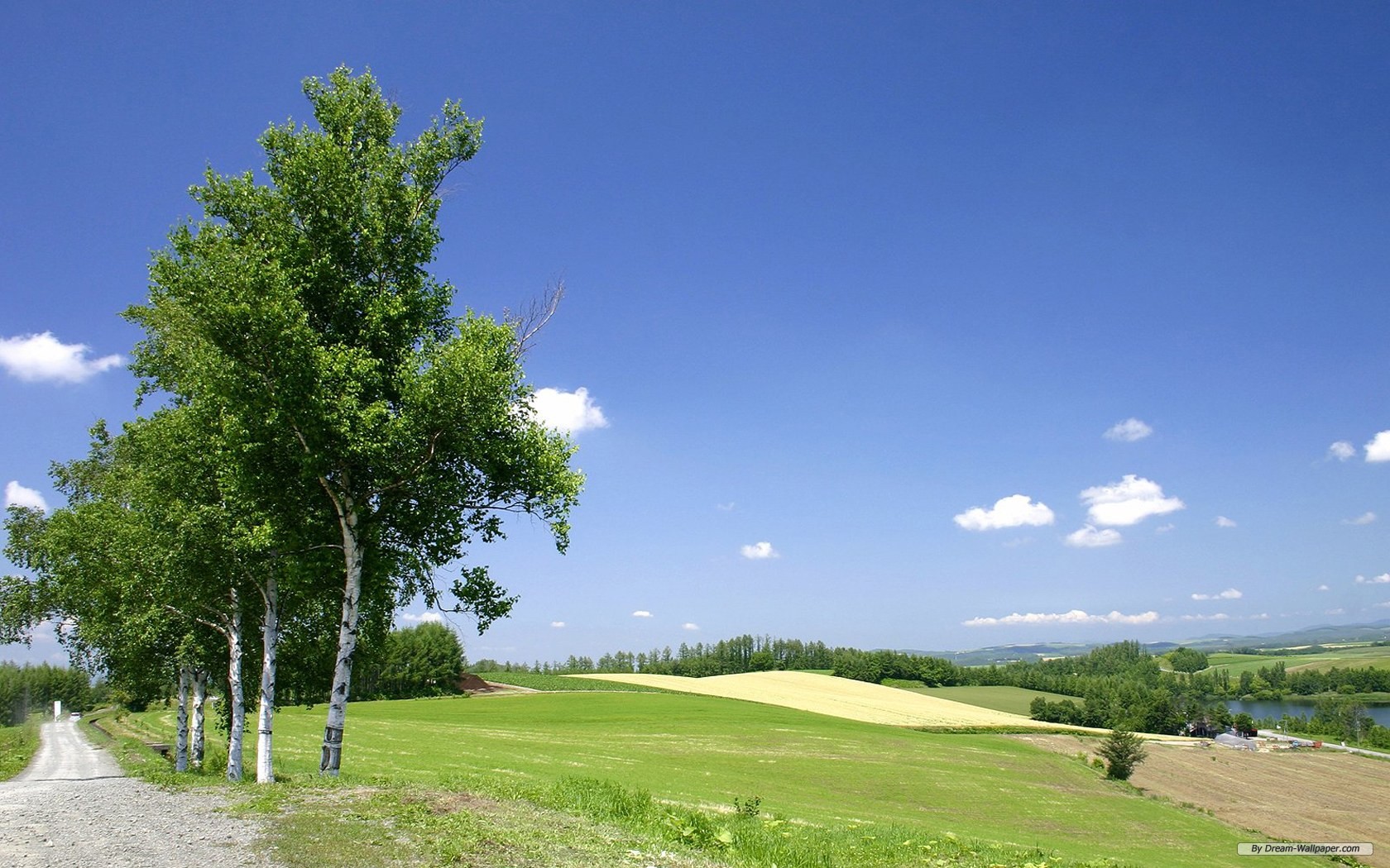 Free Travel Wallpaper - 고화질 바탕 화면 초원 - HD Wallpaper 