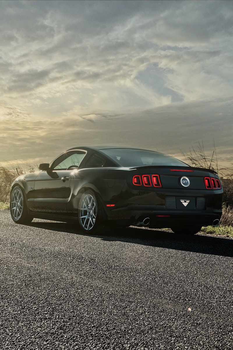 Wallpaper Mustang Gt Cars Road Light Rear View Mustang Sunshine 800x1200 Wallpaper Teahub Io