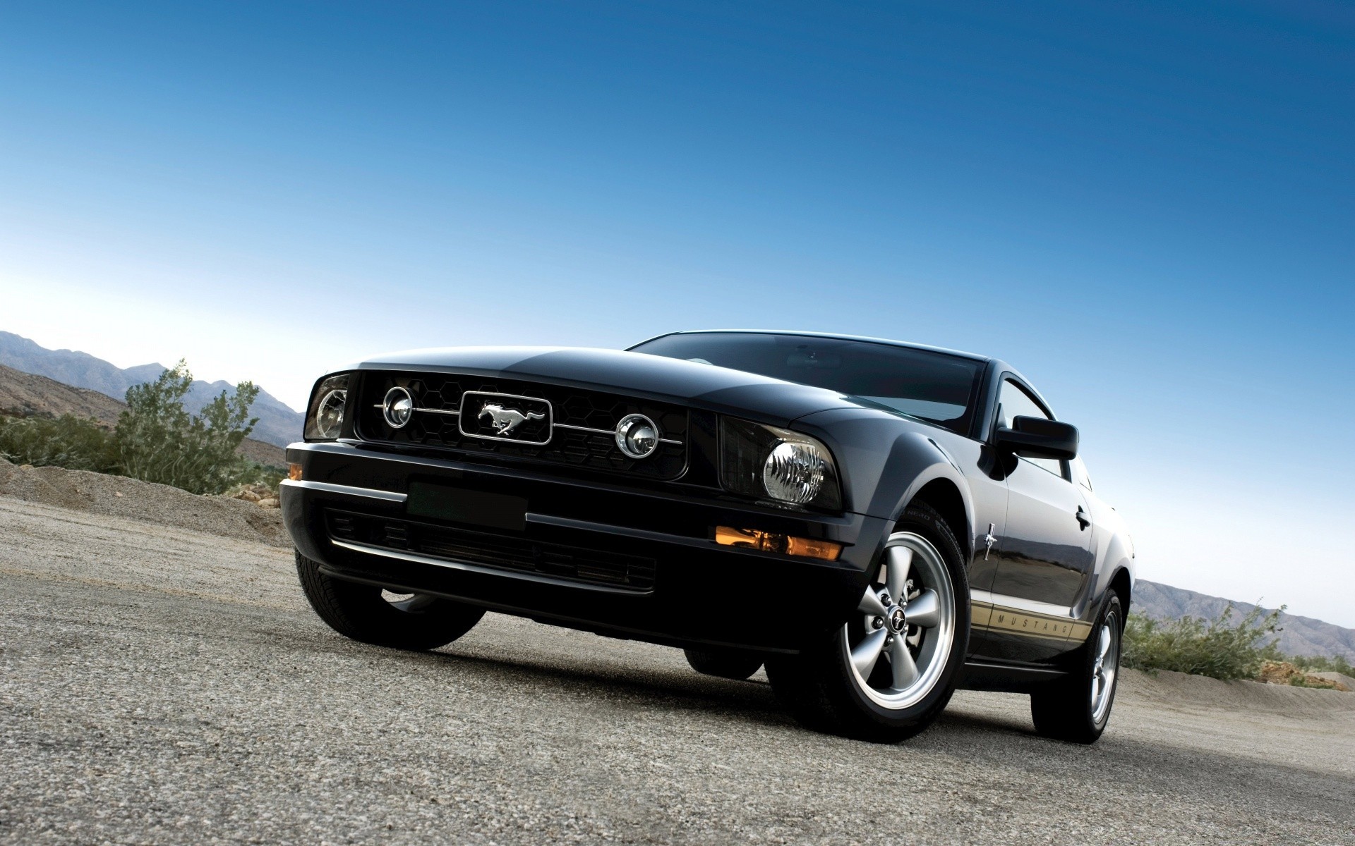 Cars Car Vehicle Asphalt Transportation System Road Ford Mustang 08 Black 19x10 Wallpaper Teahub Io Cars Car Vehicle Asphalt Transportation System Road Ford Mustang 08 Black 19x10 Wallpaper Teahub Io