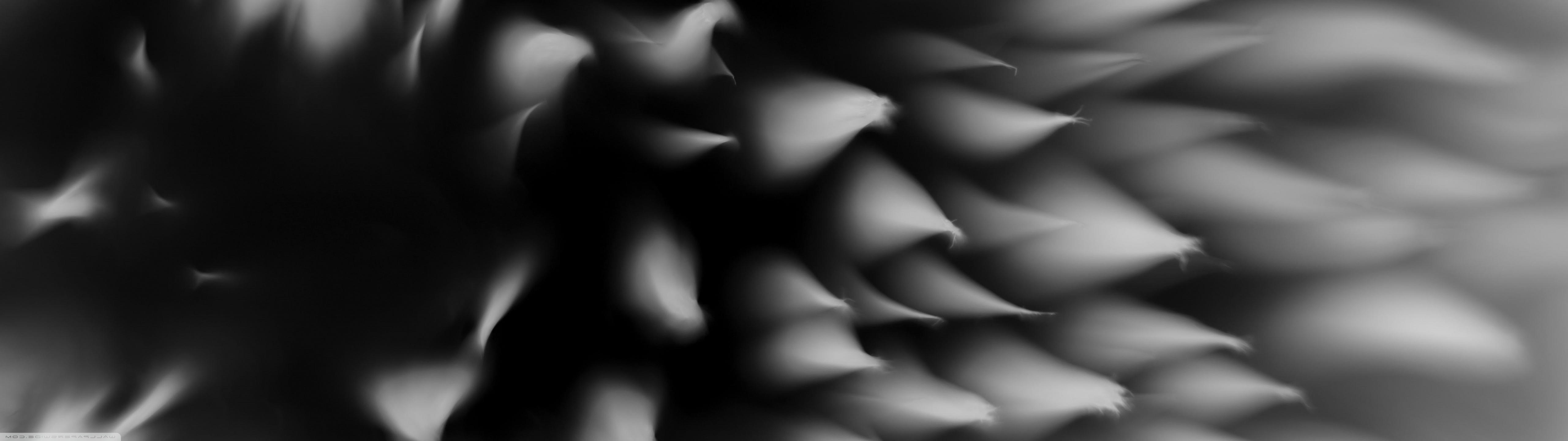 Macro Photography - HD Wallpaper 