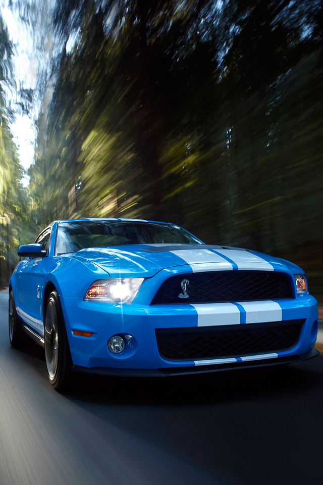 Ford Shelby Wallpaper - Ford Mustang Shelby Gt 500 - HD Wallpaper 
