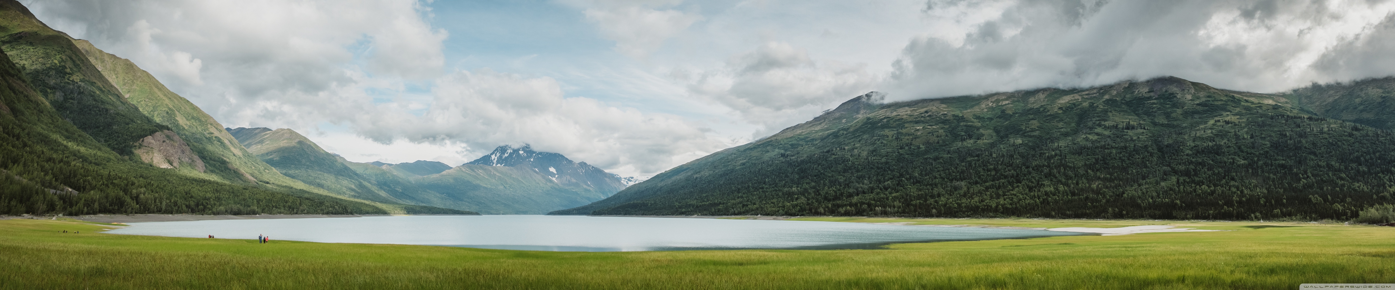 Wallpaper - HD Wallpaper 