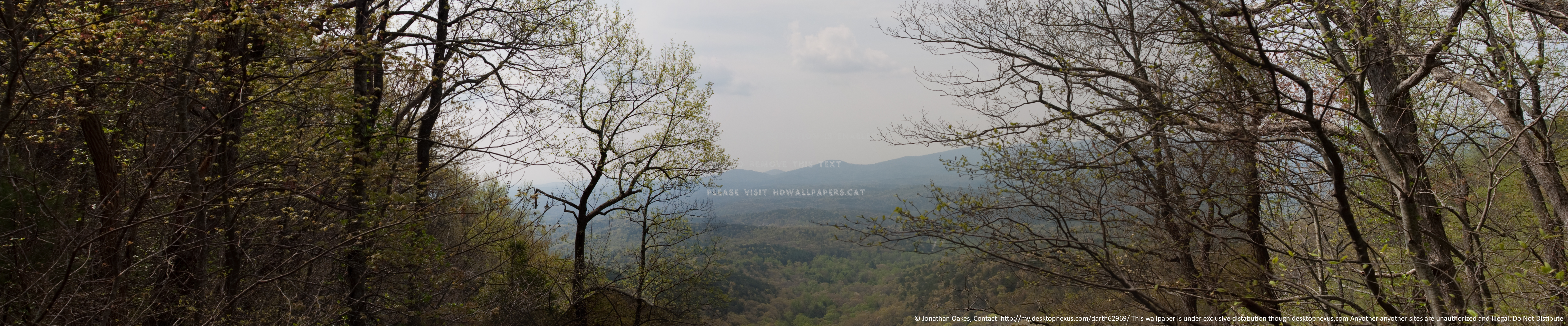 Amacolla Falls Panorama Eyefinity Nvidia 3d - Tree - HD Wallpaper 