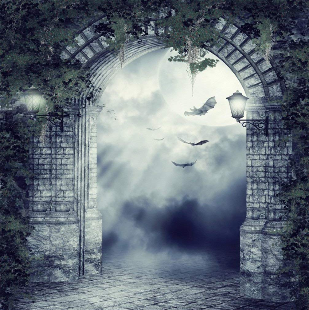 Photography Background - HD Wallpaper 