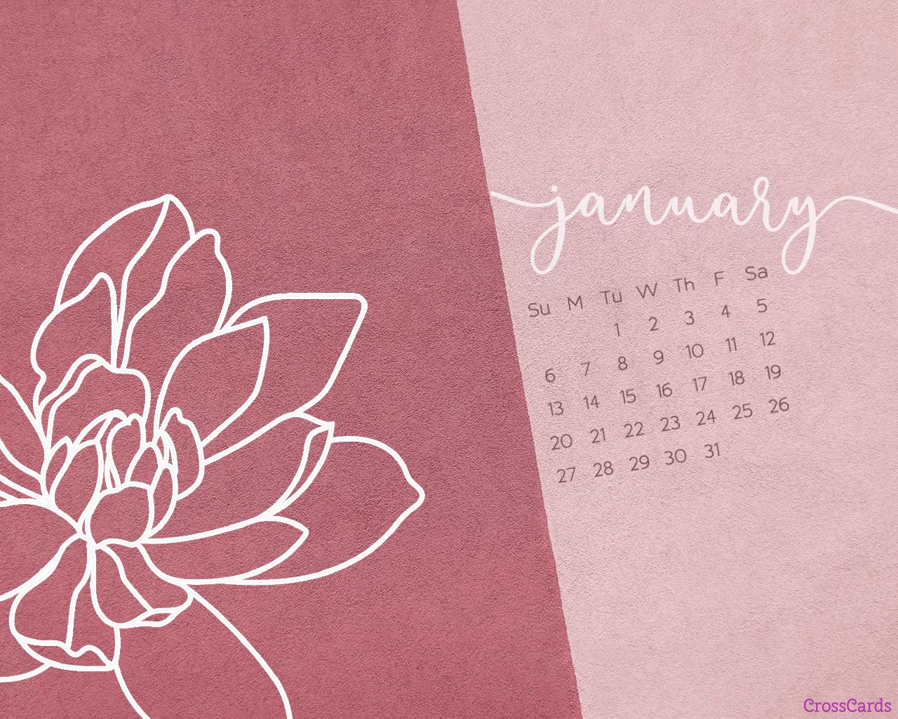 Paper - HD Wallpaper 