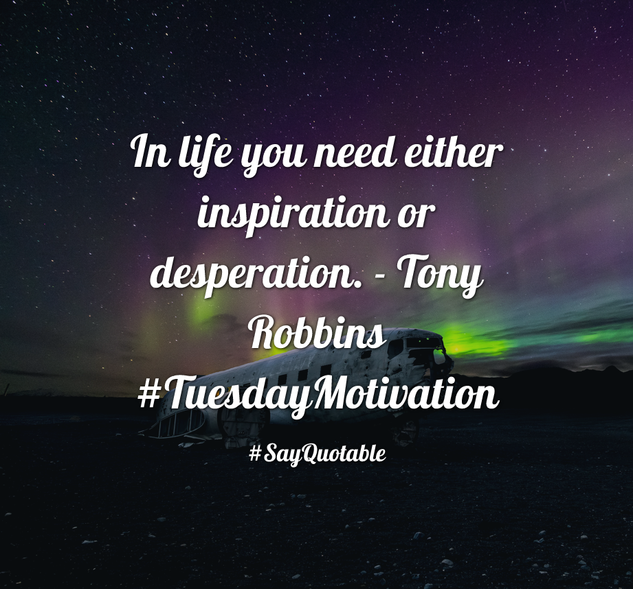 Newark Eagles - HD Wallpaper 