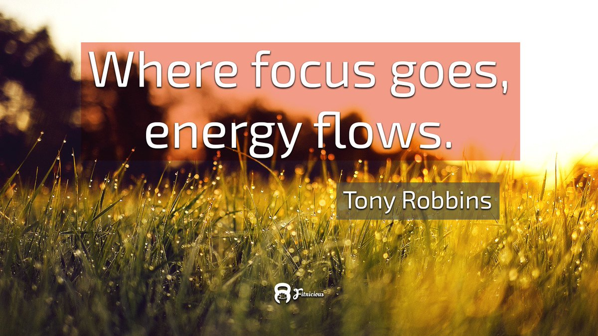 Grass Morning - HD Wallpaper 