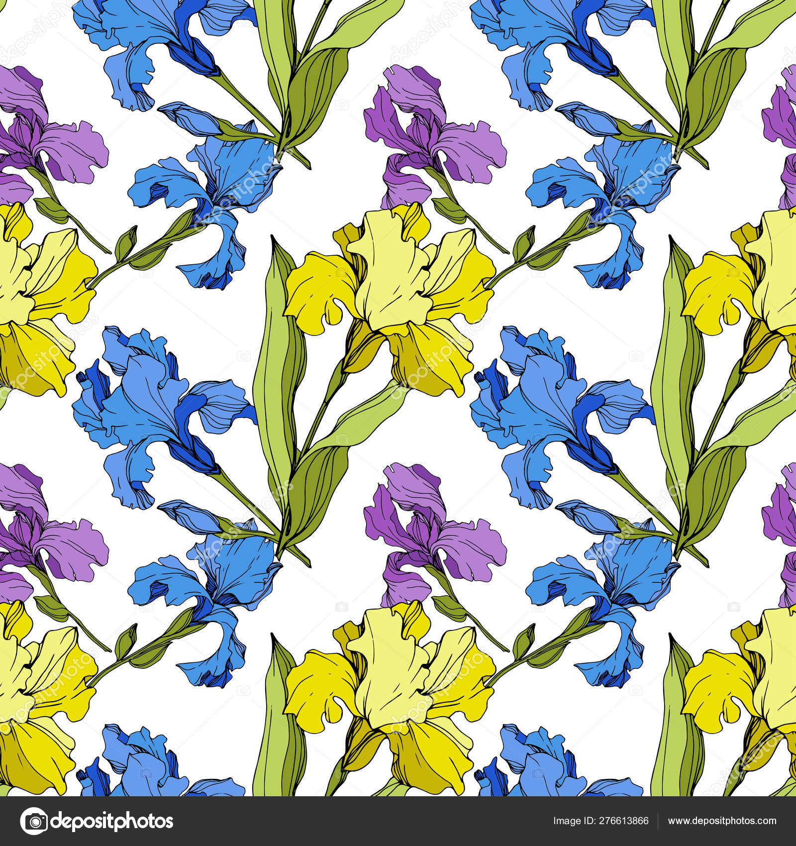 Viola - HD Wallpaper 