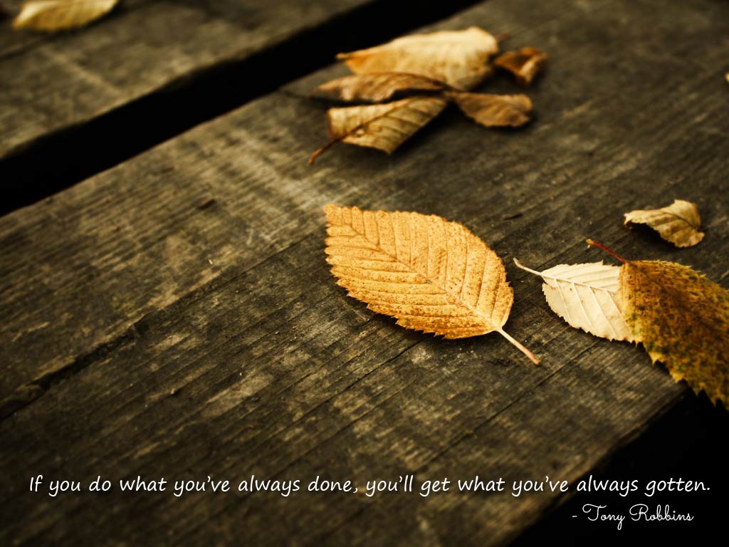 Wood With Leaf Hd - HD Wallpaper 