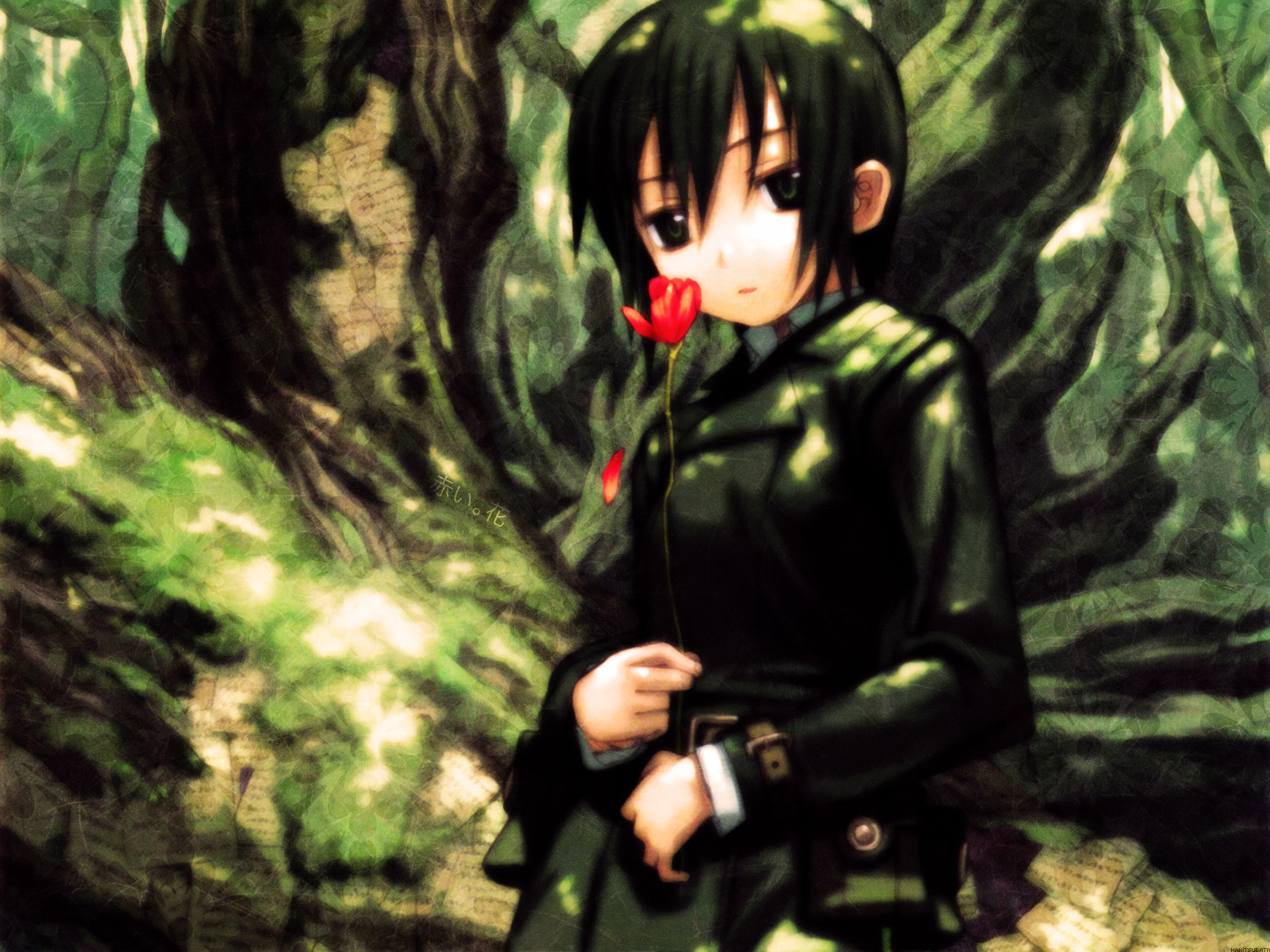 Kino Journey Wallpaper - Kino No Tabi - HD Wallpaper 