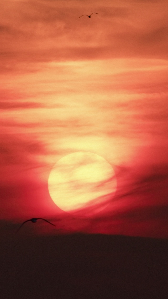 Light - HD Wallpaper 