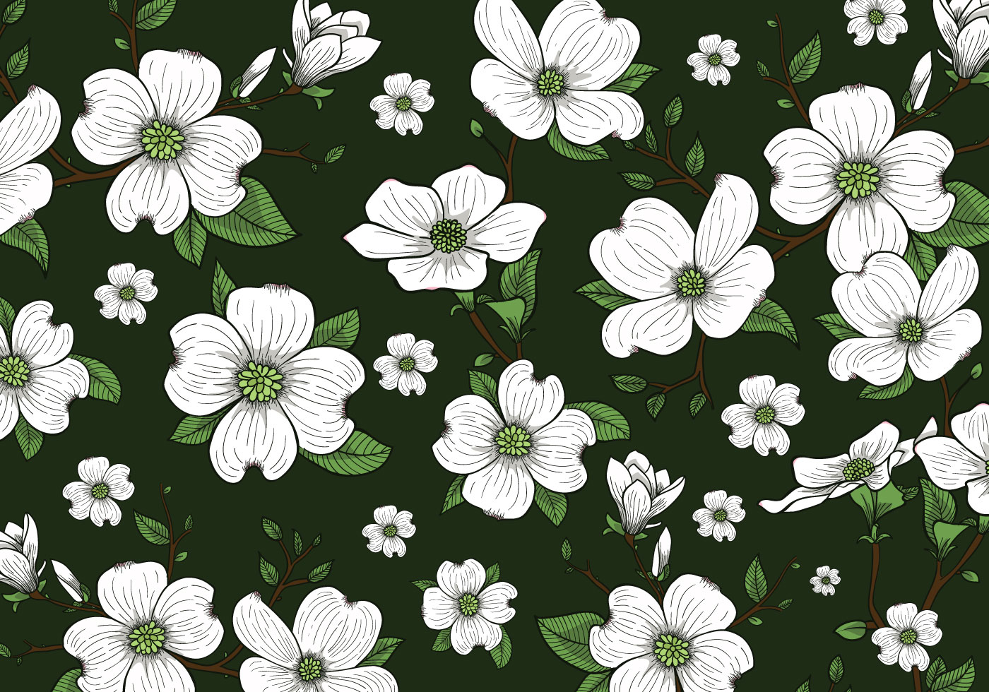Flower - HD Wallpaper 