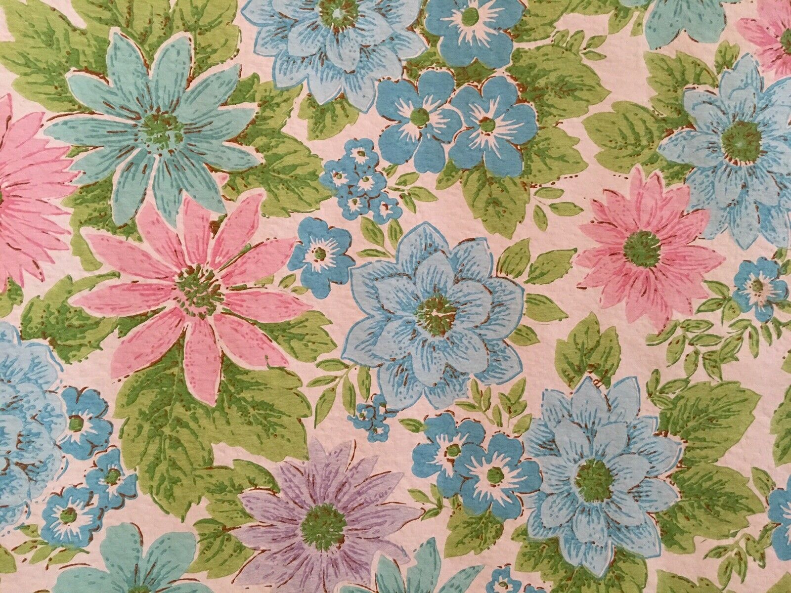 Clematis - 1600x1200 Wallpaper - teahub.io