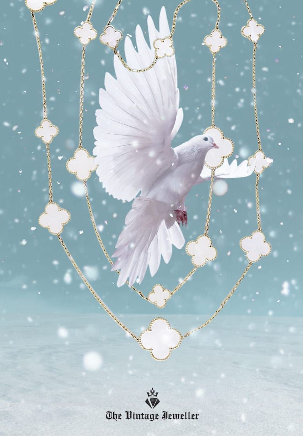 Rock Dove - 1045x1500 Wallpaper Rock Dove - 1045x1500 Wallpaper