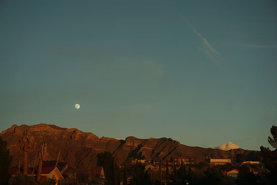 Alien, Planet, Sunset, Moonrise, Mountain, Tree, Blue, - HD Wallpaper 