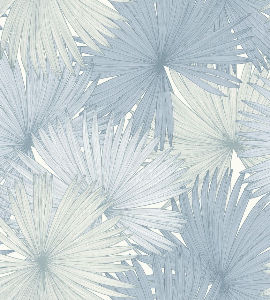 James Dunlop Coconut - HD Wallpaper 