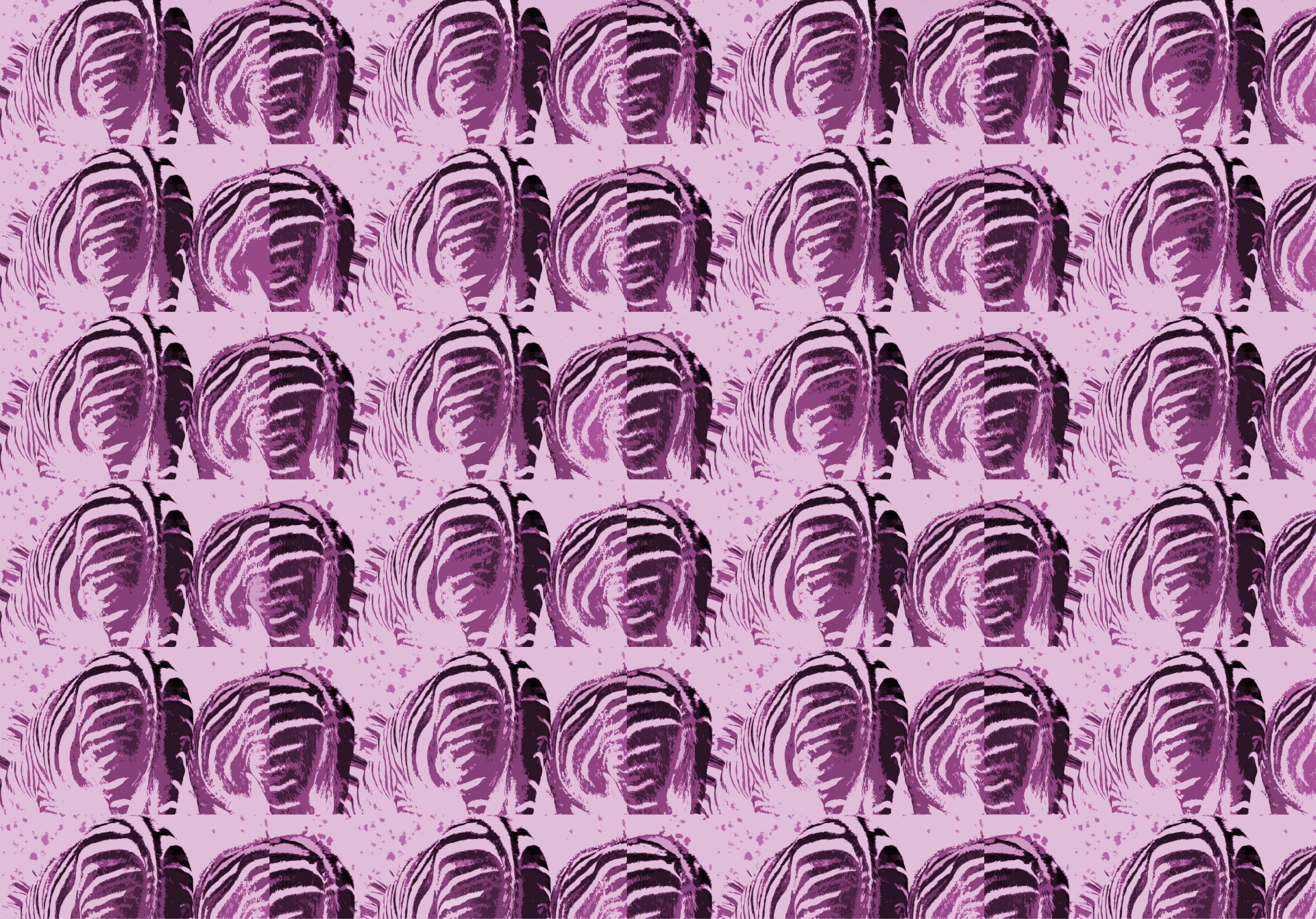 Hide Zebra Pattern Free Photo - Close-up - HD Wallpaper 