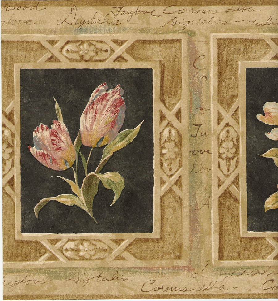 Giant Protea - HD Wallpaper 