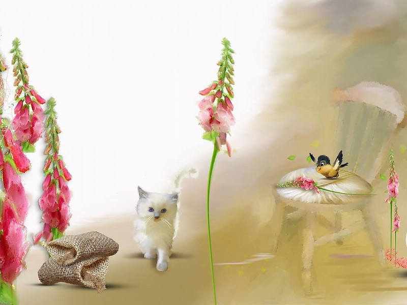 Summer Foxgloves Wallpaper - Wallpaper - HD Wallpaper 