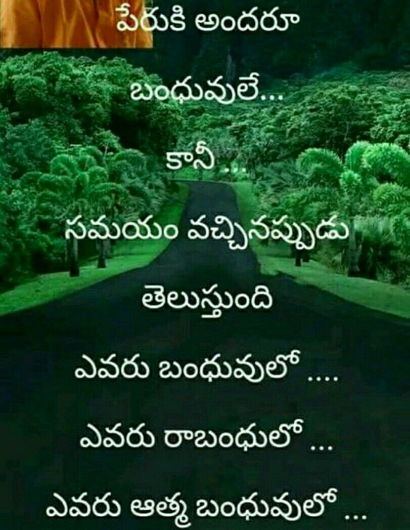 Ho Omaluhia Botanical Gardens Hawaii - HD Wallpaper 