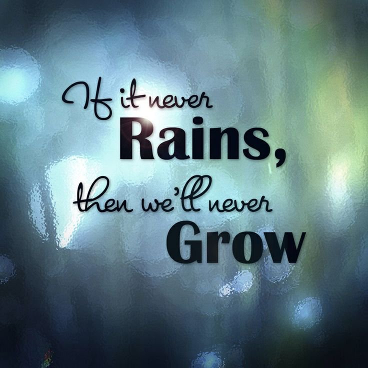 Overcoming Failure Images - If It Never Rains Then We Ll Never Grow - HD Wallpaper 