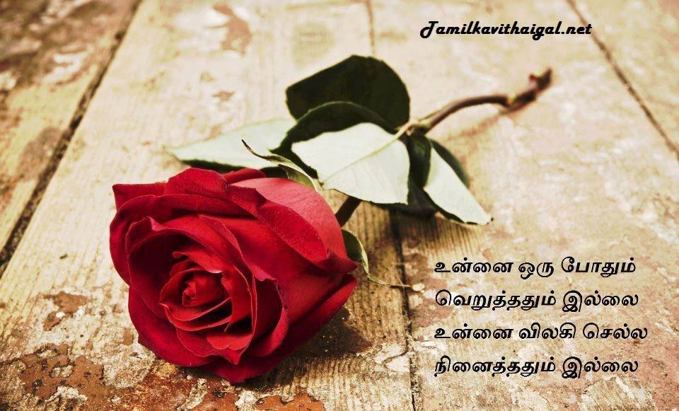 Happy Rose Day Sad - HD Wallpaper 