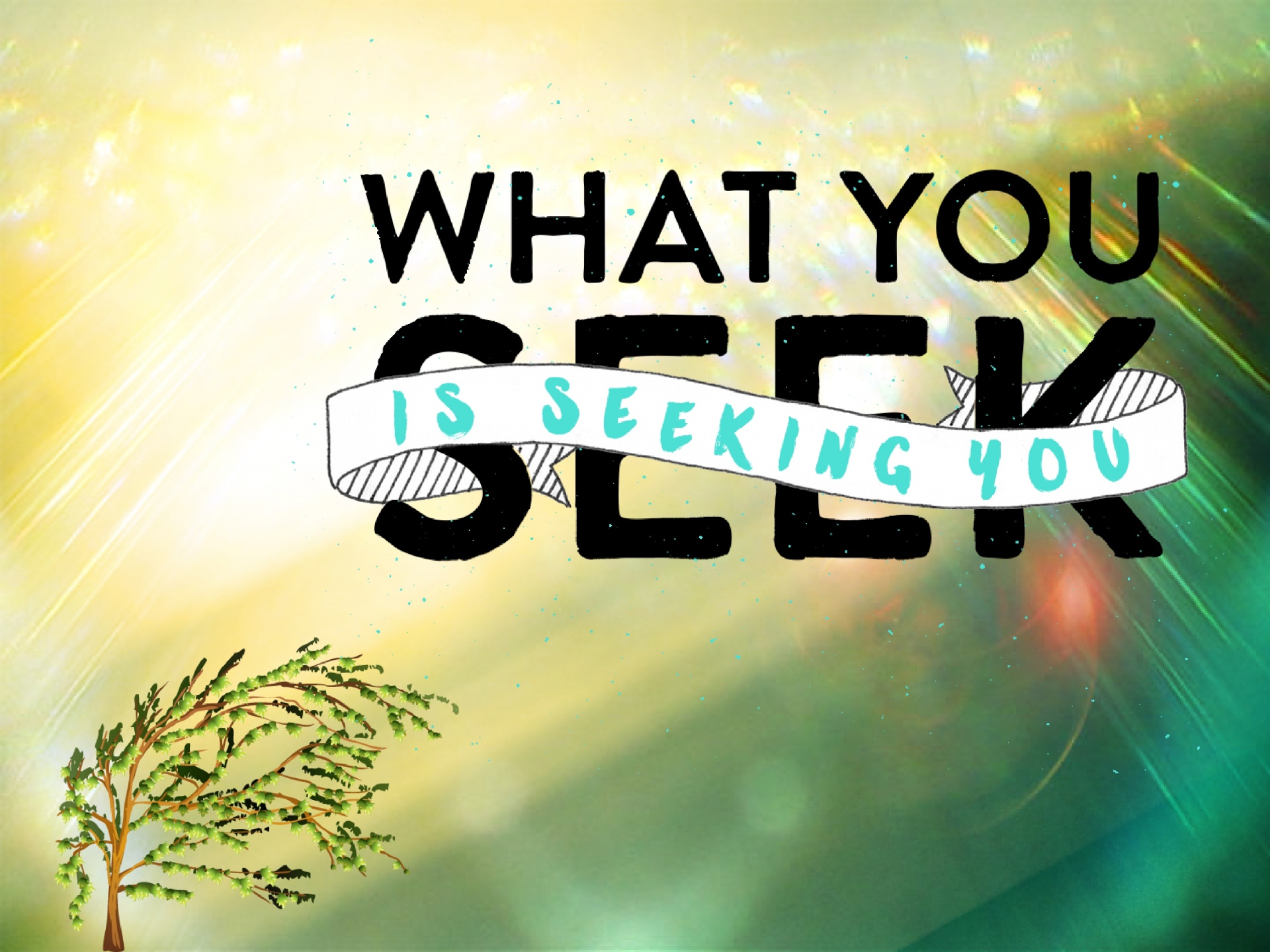 Seek Quote Tree Free Photo - Calligraphy - HD Wallpaper 