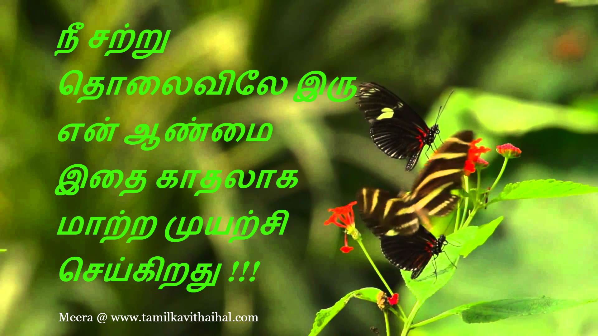 Tamil Kavithai For Boyfriend - HD Wallpaper 