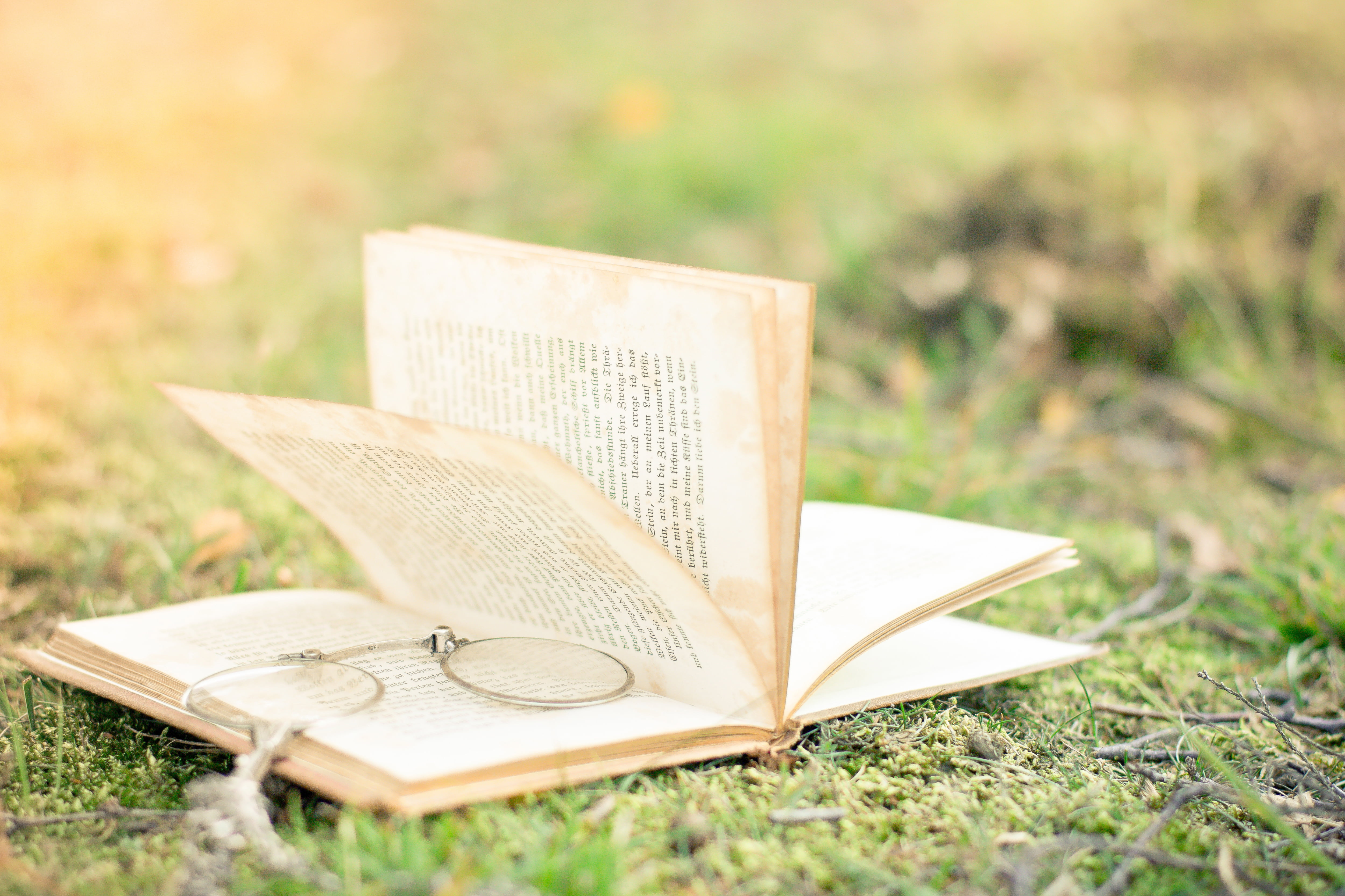 Wallpaper - HD Wallpaper 