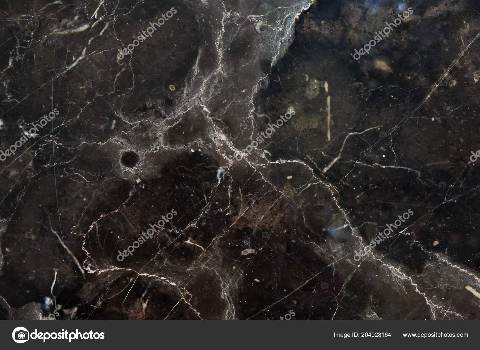 Spider Web - HD Wallpaper 