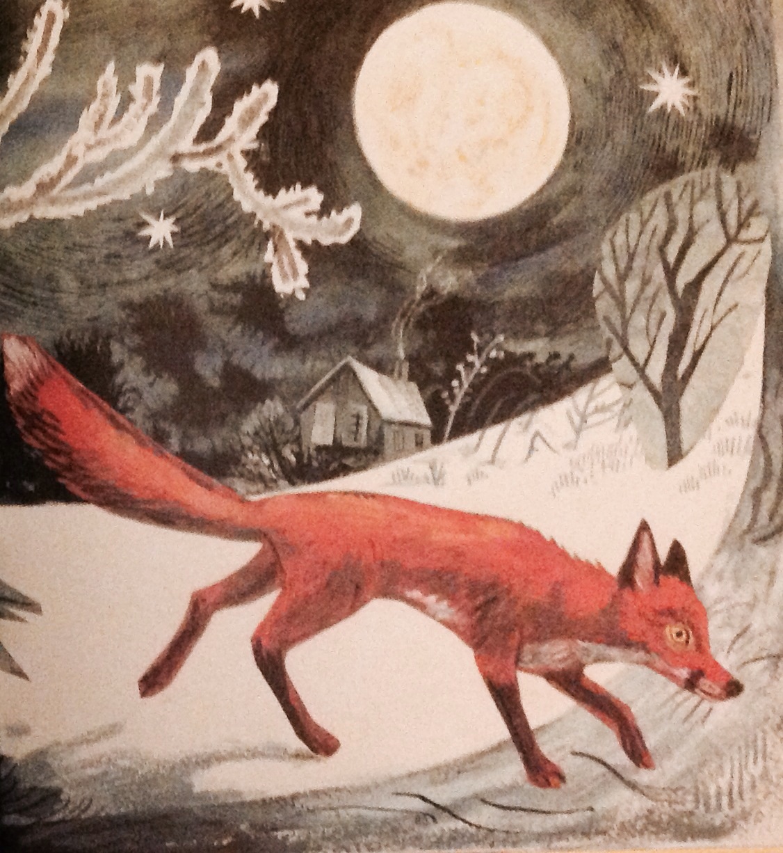 From A First Book Of Nature By Nicola Davies And Mark - First Book Of Nature Nicola Davies - HD Wallpaper 