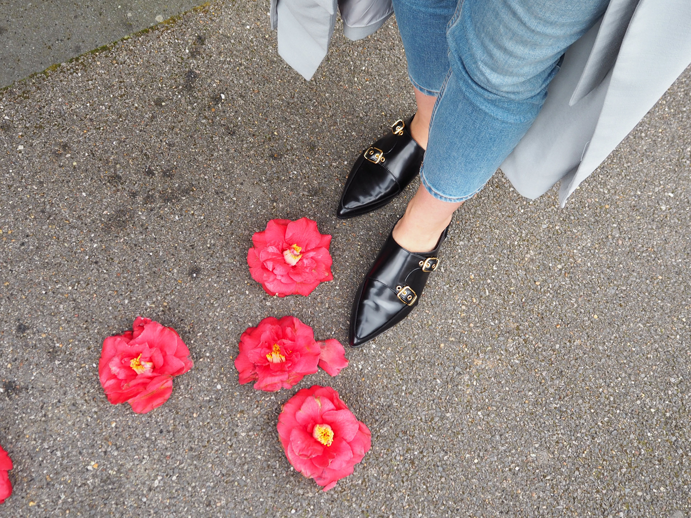 Ted Baker Naoi Monk Strap Shoes - Ted Baker London Monk Strap - HD Wallpaper 