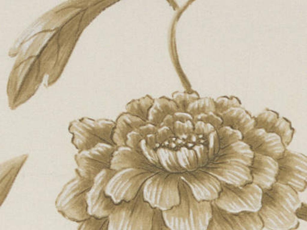 Обои Для Стен Lewis & Wood Wide Widht Wallpapers Lw133134 - Peony - HD Wallpaper 