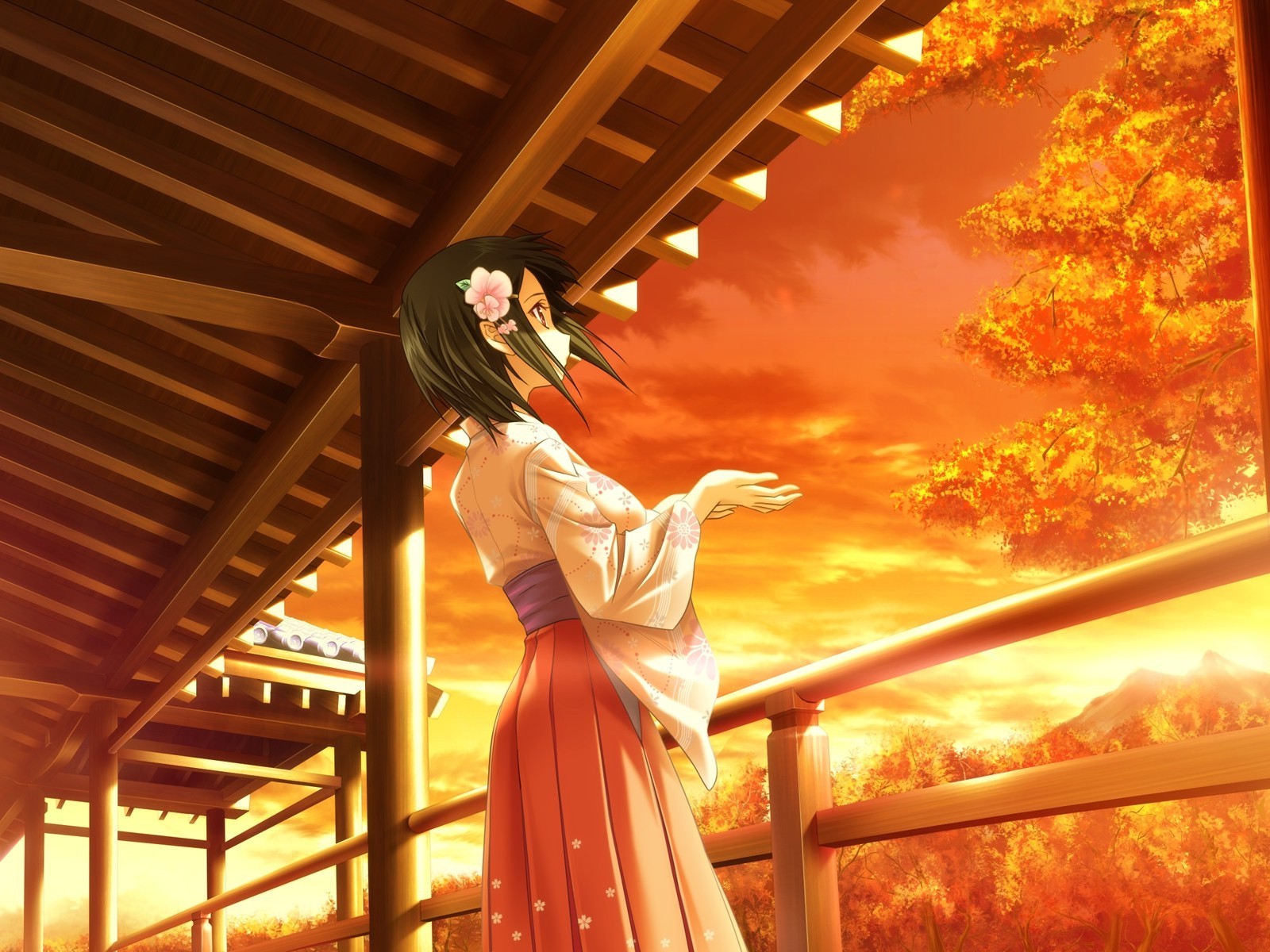 Anime Girl Wallpaper Sunset - HD Wallpaper 