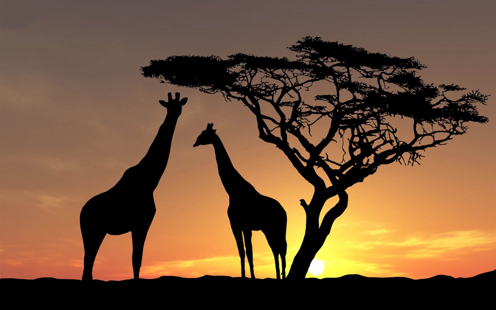 Collection Of Giraffe Iphone Wallpaper On Hdwallpapers - African Landscape With Animals - HD Wallpaper 