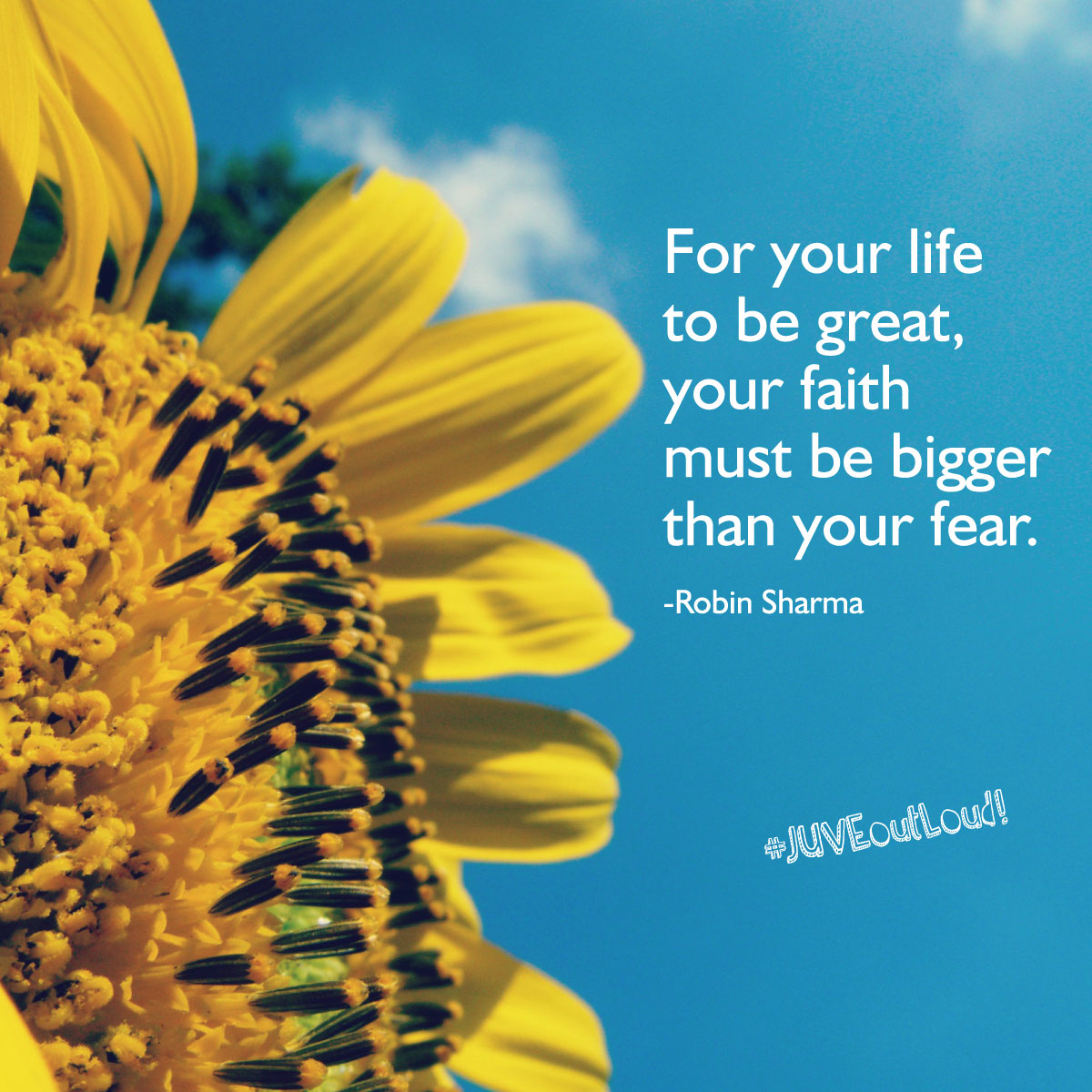 Wallpaper - HD Wallpaper 