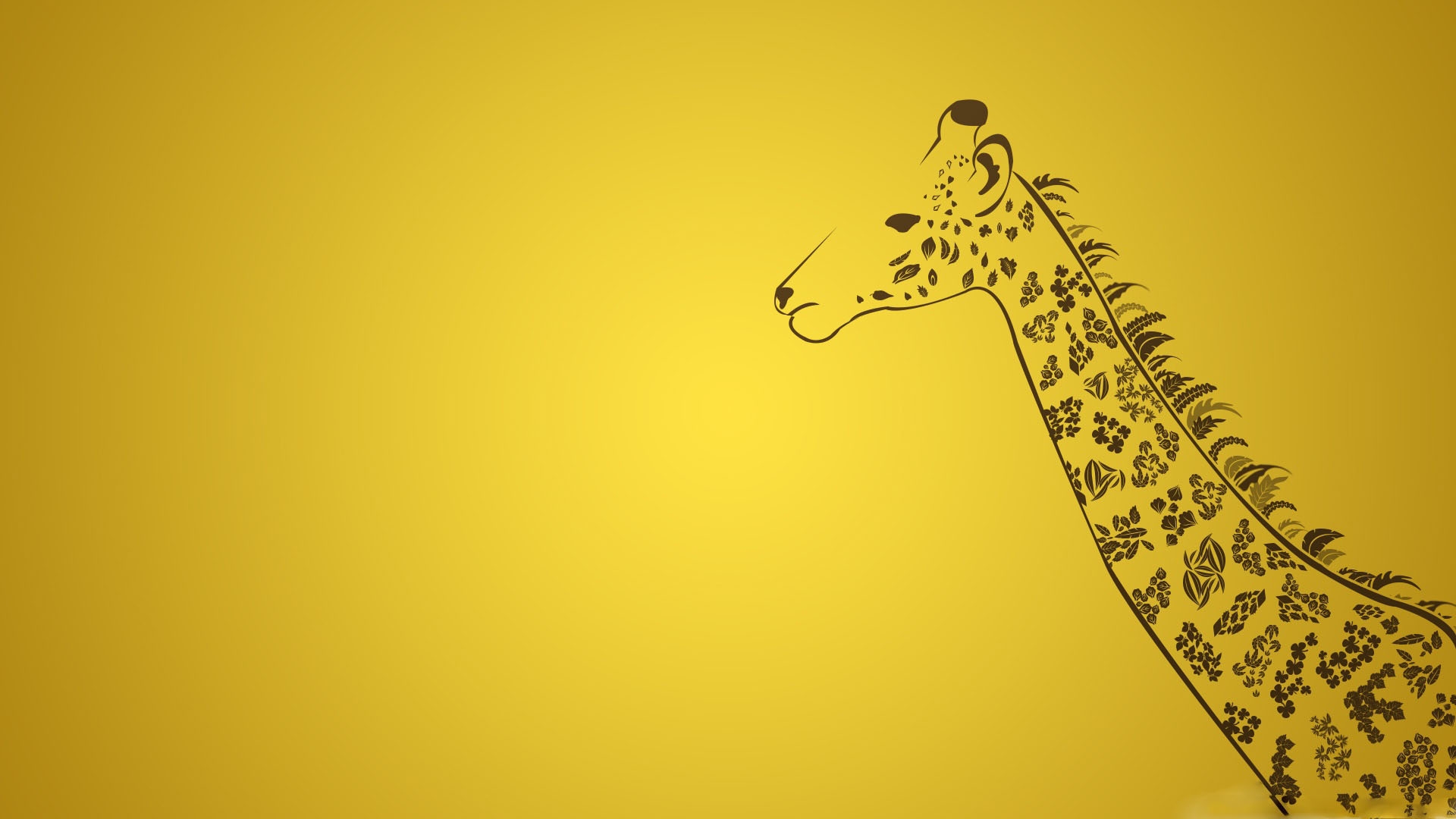 Hd Wallpaper Giraffe - HD Wallpaper 