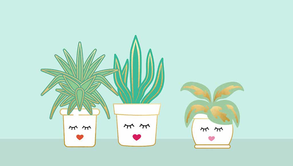 February Desktop Wallpaper 2020 - HD Wallpaper 